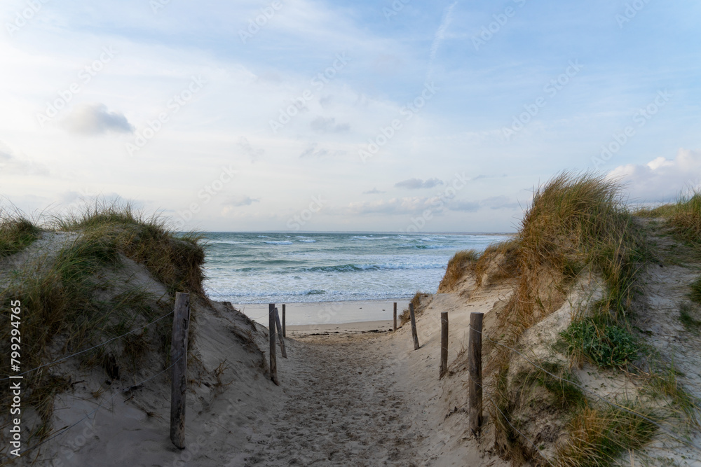 Chemin entre les dunes bordé de poteaux et d'oyats, offrant une vue sur l'océan et la plage de la Torche, capturant la beauté sauvage du littoral breton. Chemin entre les dunes bordé de poteaux et d'oyats, offrant une vue sur l'océan et la plage de la Torche, capturant la beauté sauvage du littoral breton.