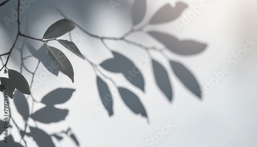 Veiled Elegance  Leafy Silhouettes on Gray