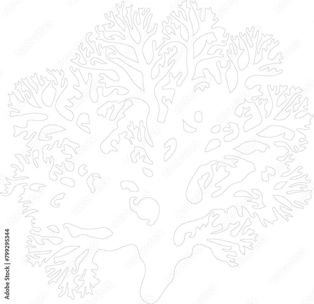 coral outline coral outline