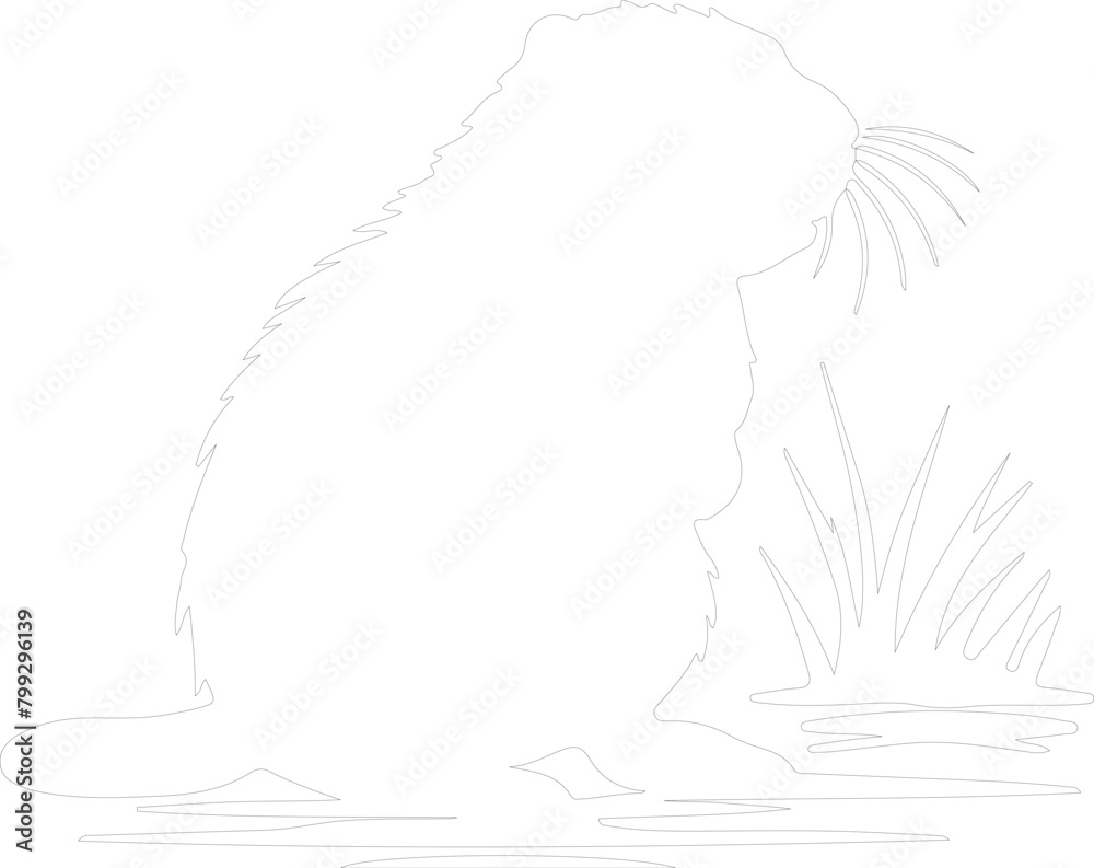 coypu outline coypu outline
