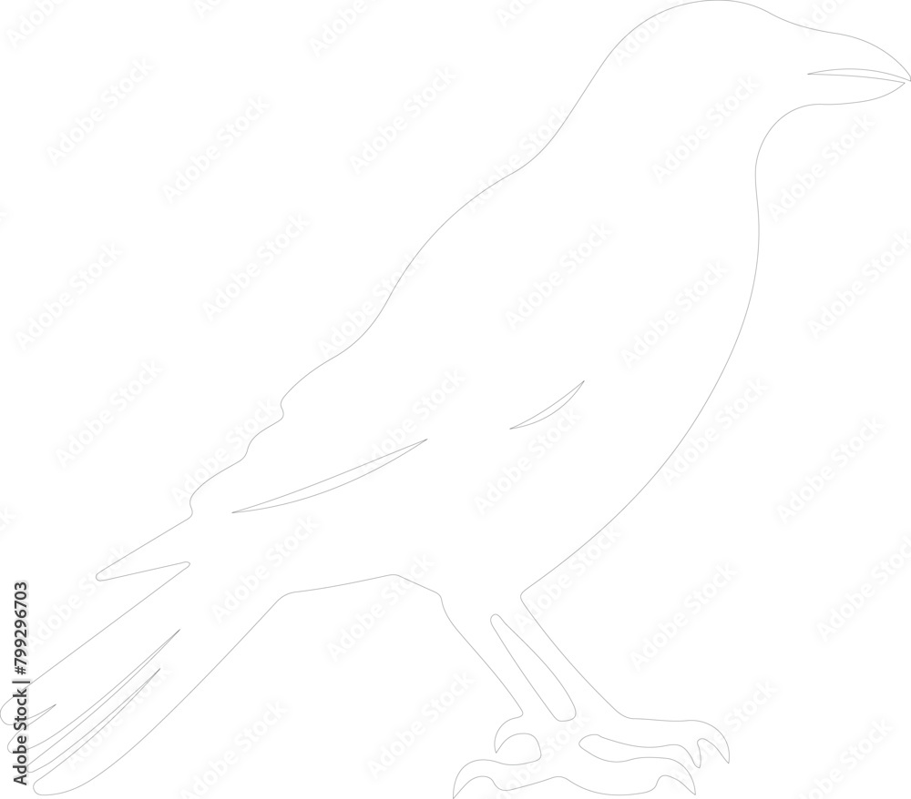 crow outline crow outline