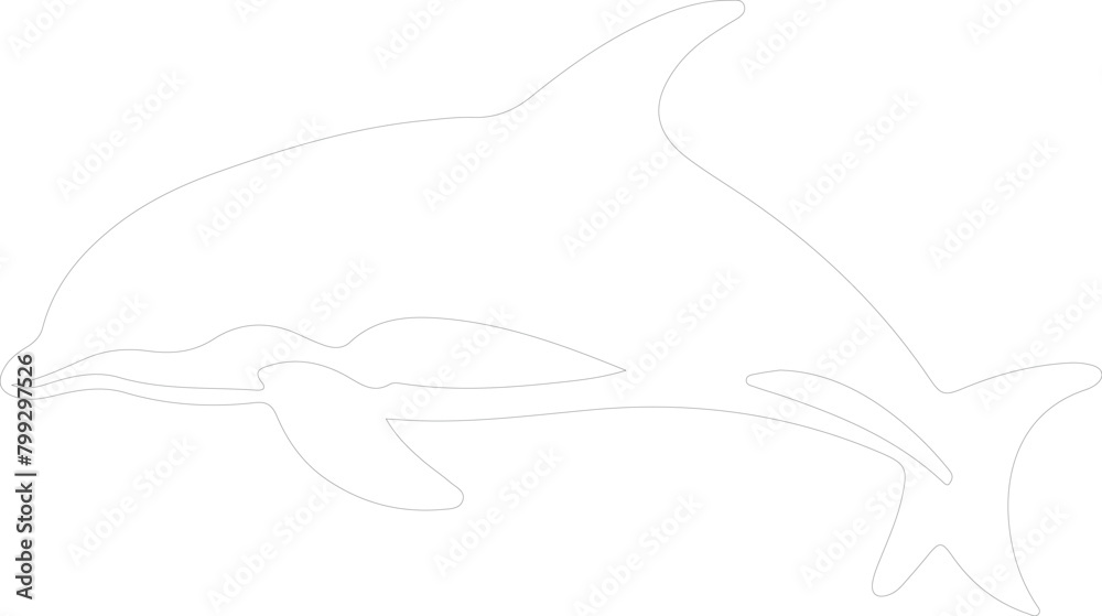 Dallsporpoise outline