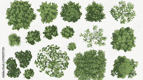 a collection of trees and shrubs on a white background