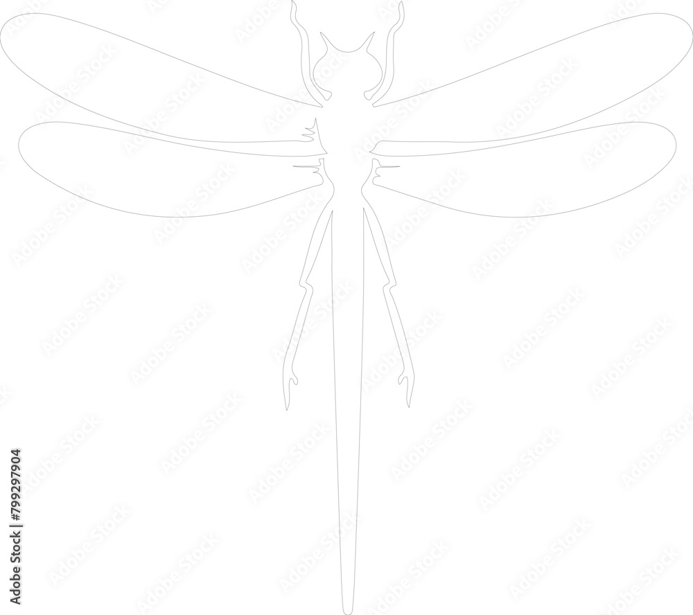 Fototapeta premium damselfly outline