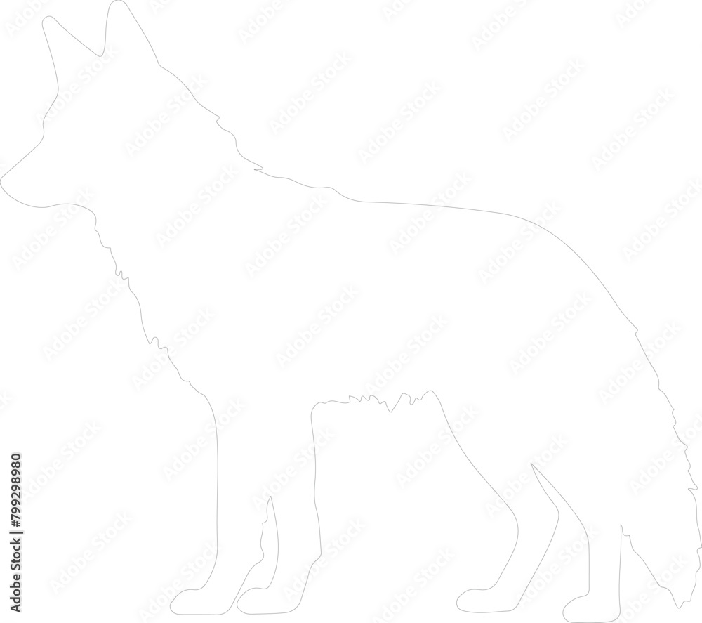 dingo outline
