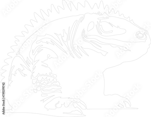 Doedicurus outline photo