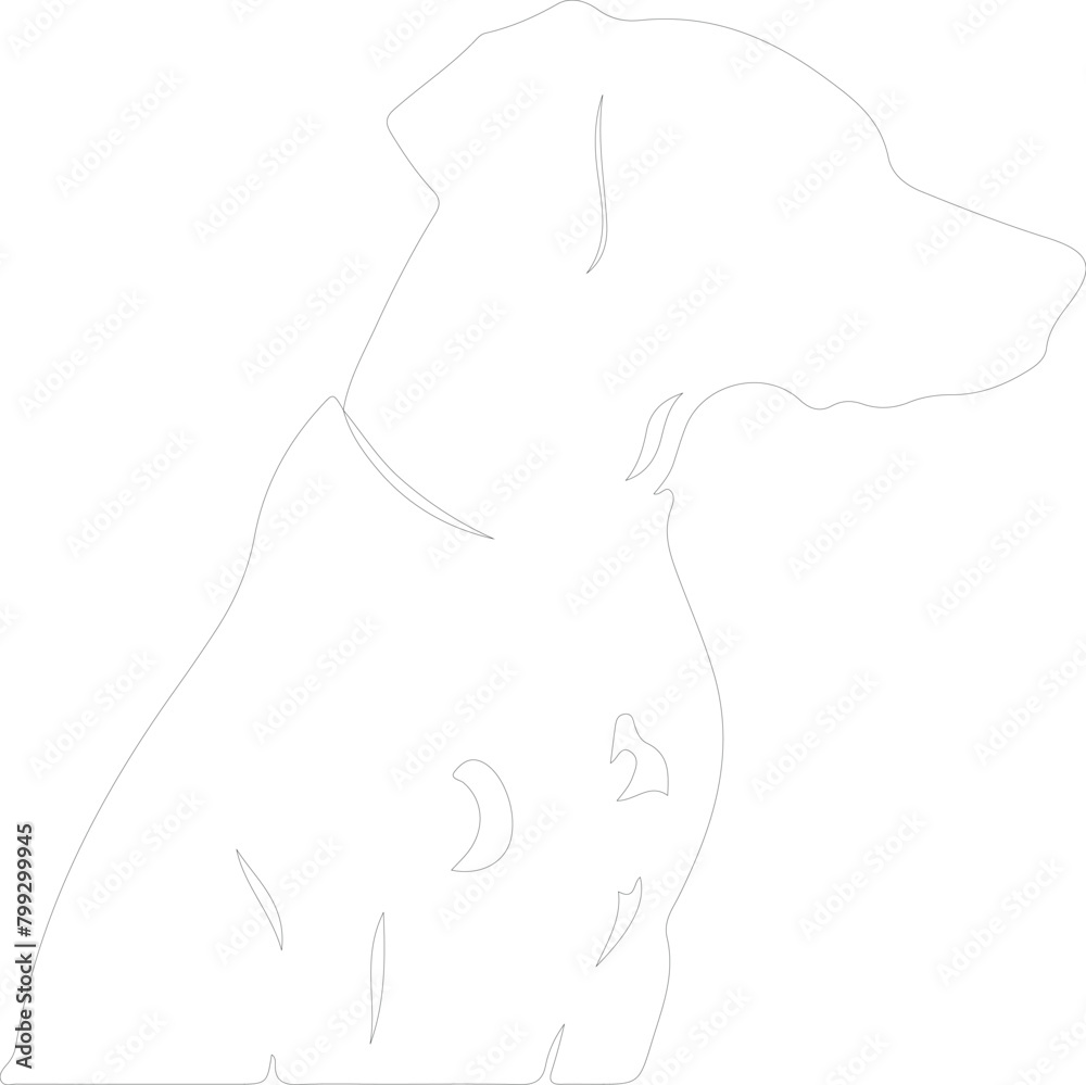 dog outline