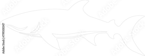 dogfish outline