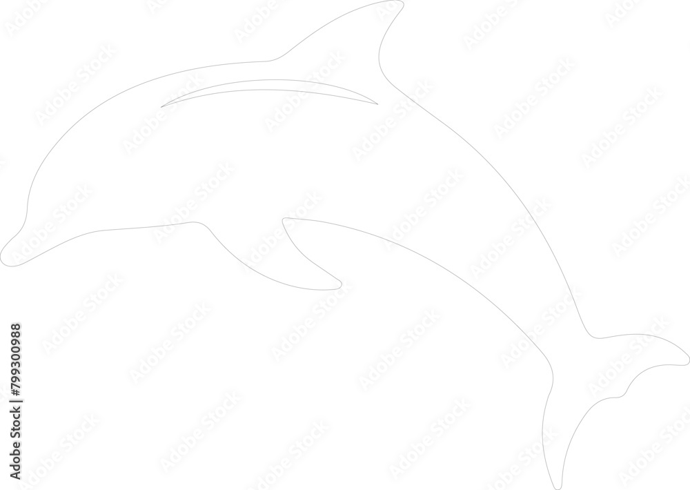 dolphin bottlenose outline