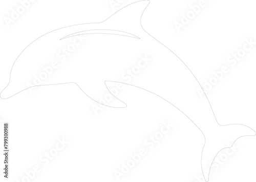 dolphin bottlenose outline