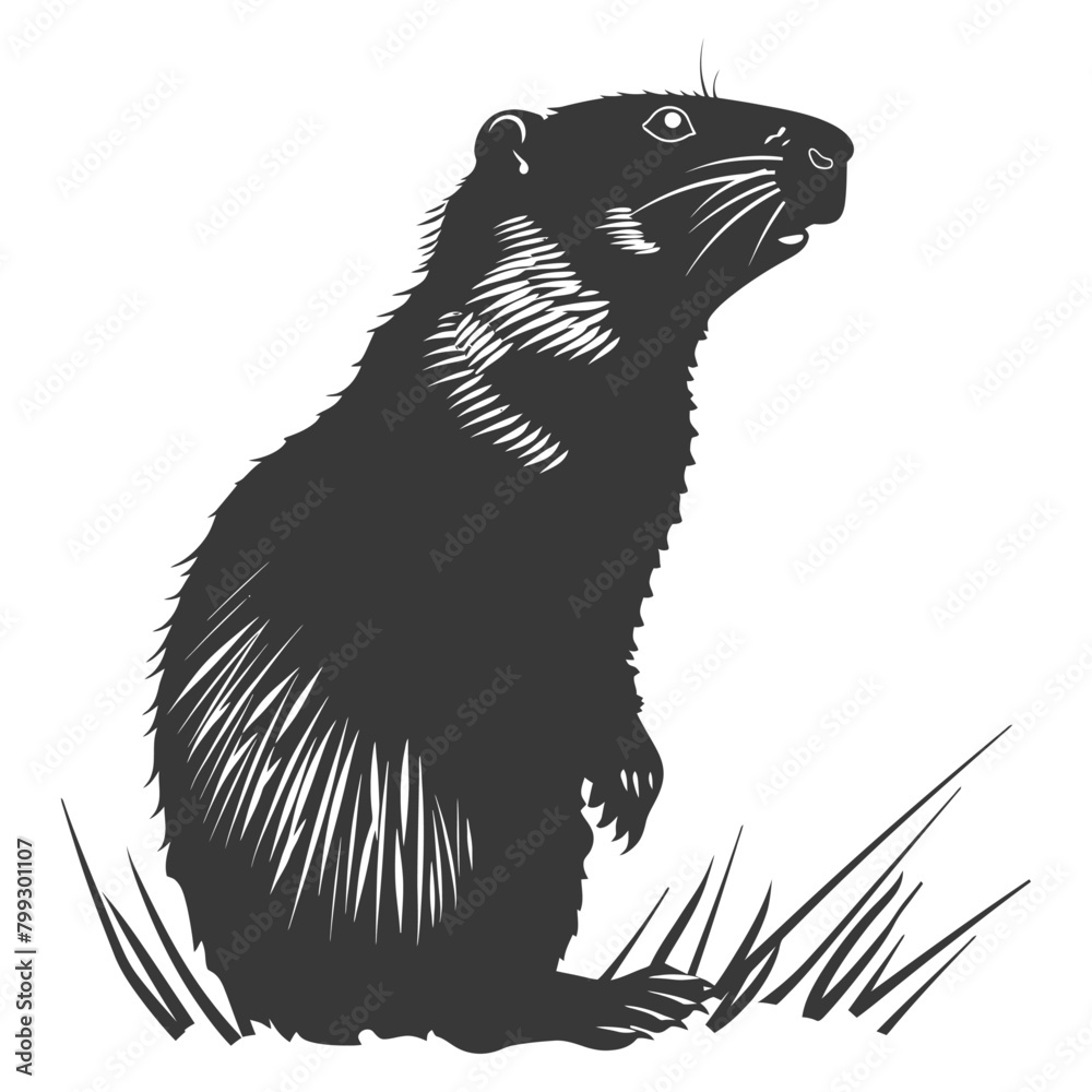 Silhouette Groundhog animal black color only full body Silhouette Groundhog animal black color only full body
