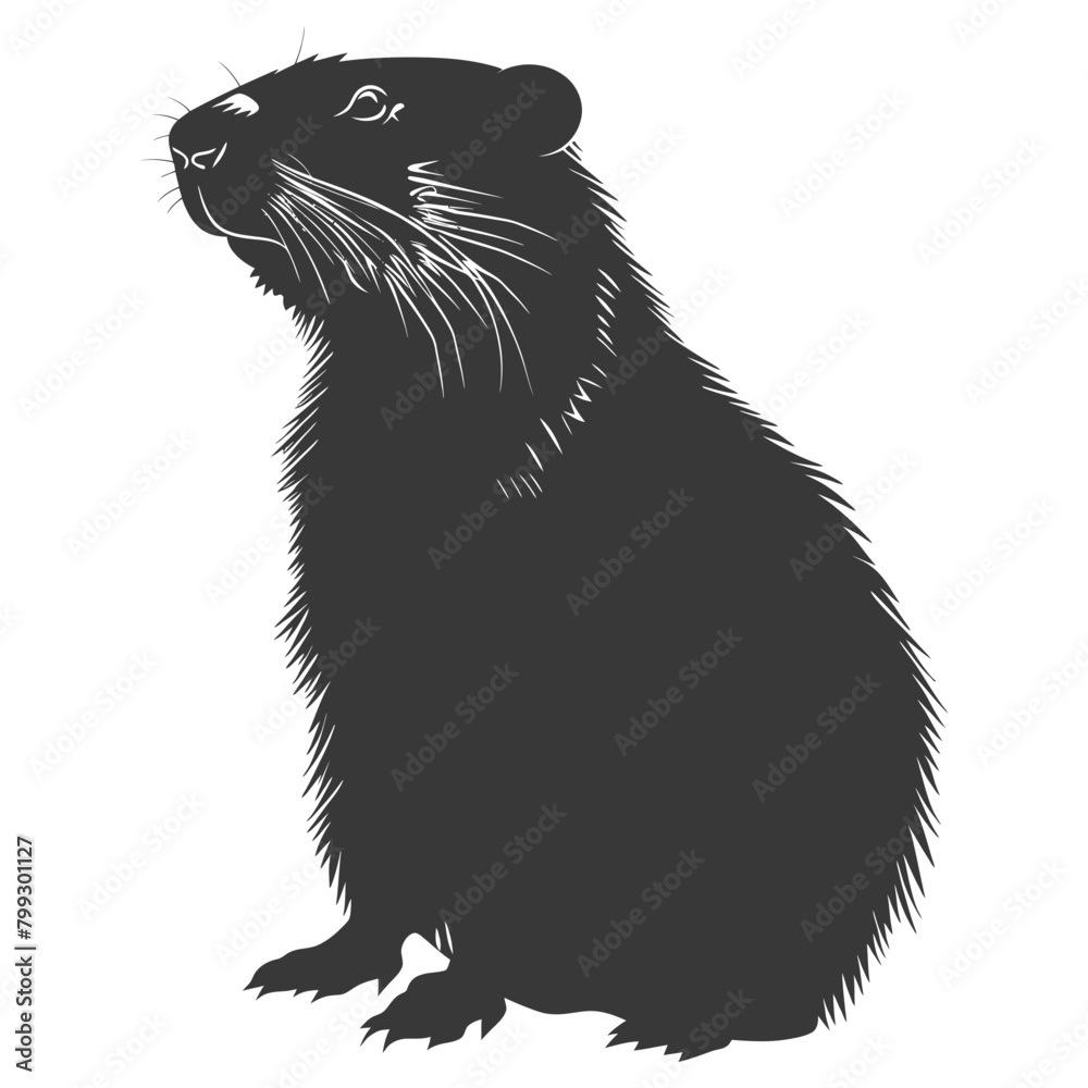 Fototapeta premium Silhouette Groundhog animal black color only full body