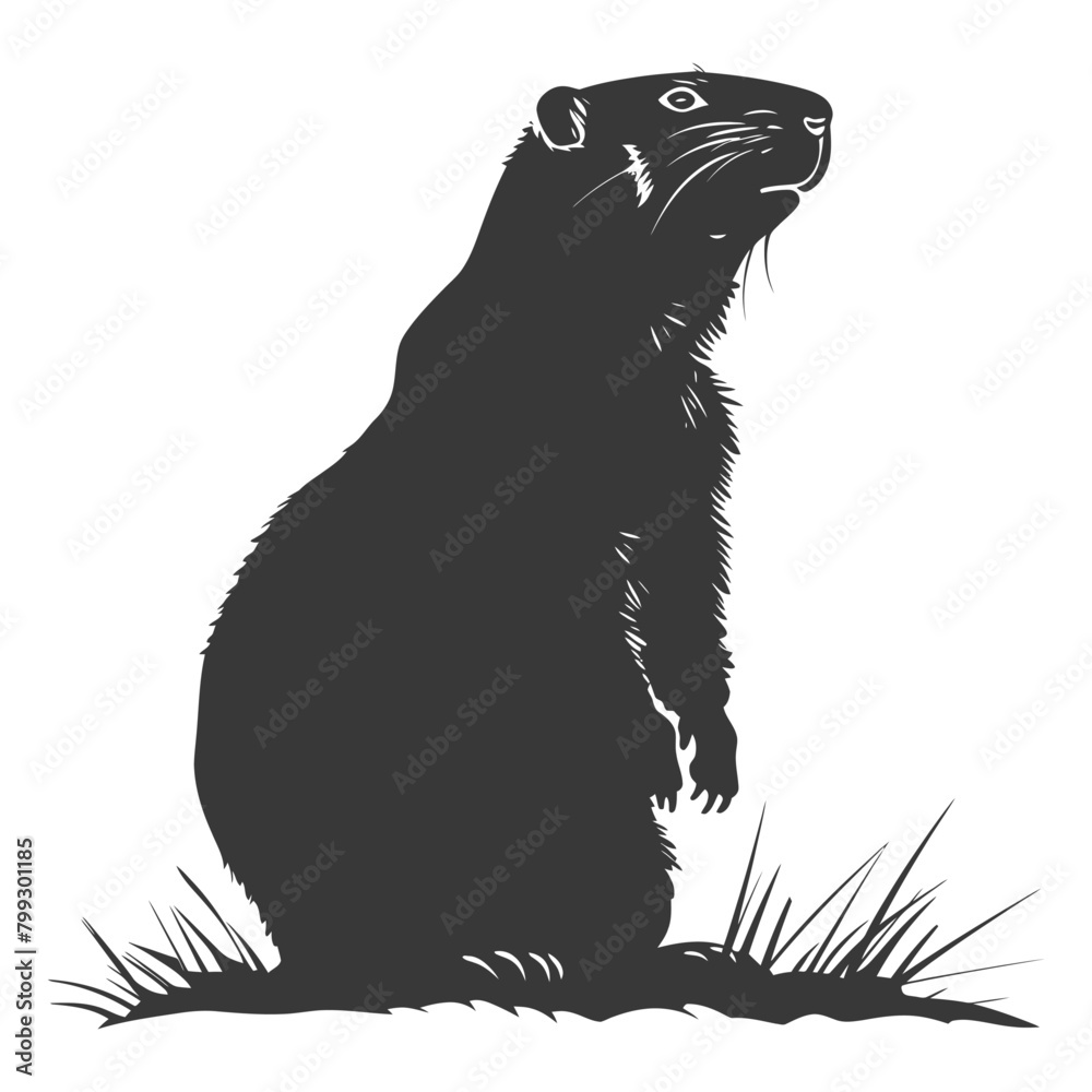 Silhouette Groundhog animal black color only full body Silhouette Groundhog animal black color only full body