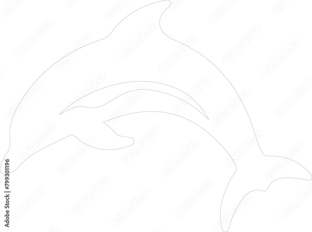 dolphin spotted outline dolphin spotted outline