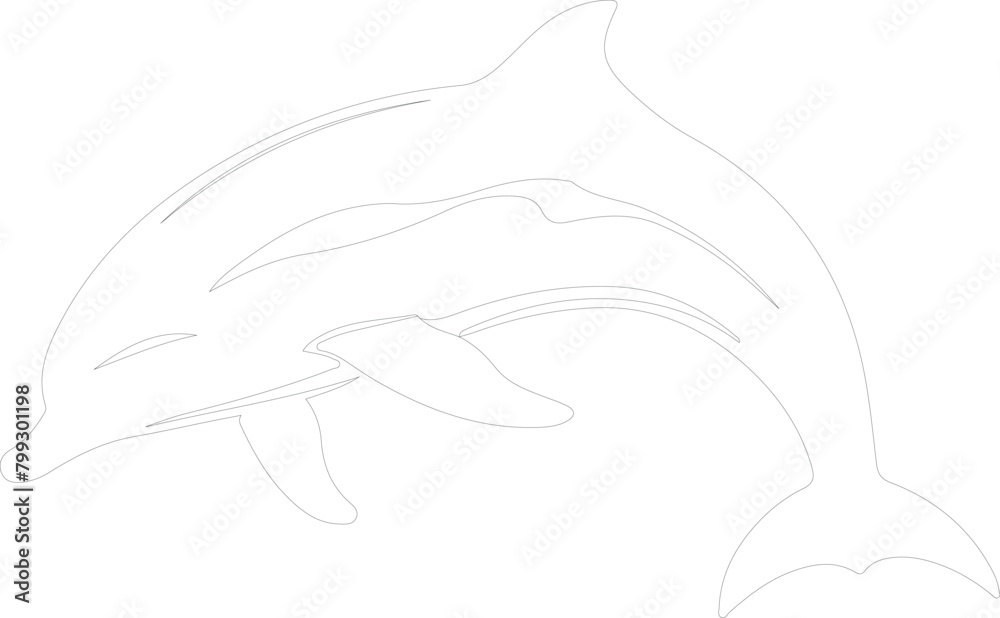 Obraz premium dolphin spotted outline