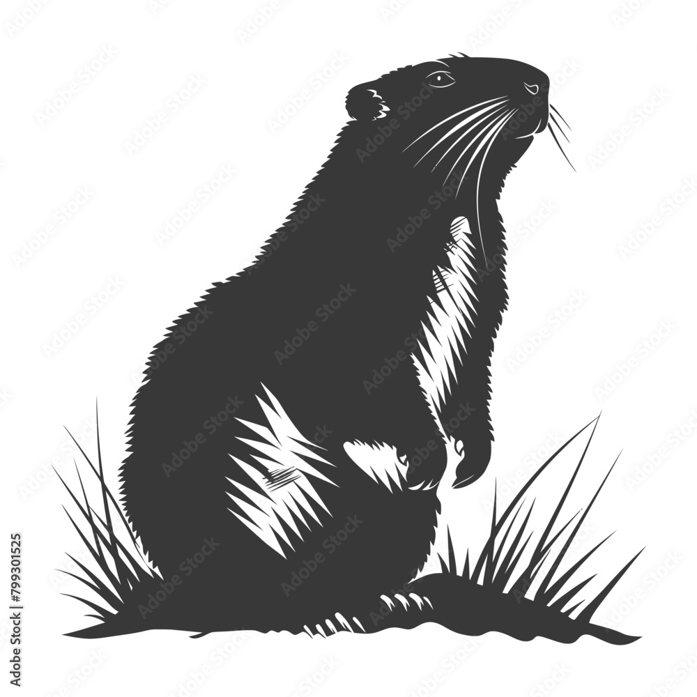Obraz premium Silhouette Groundhog animal black color only full body