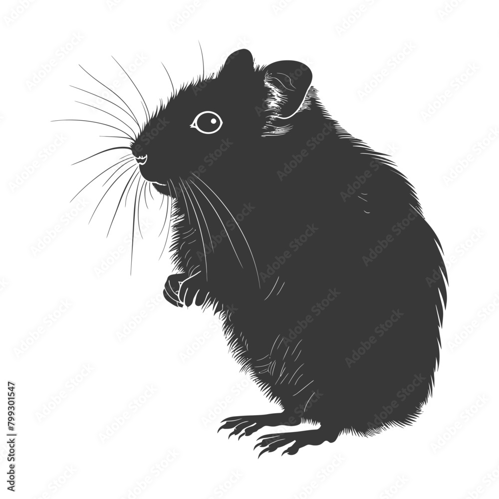 Silhouette hamster animal black color only full body Silhouette hamster animal black color only full body