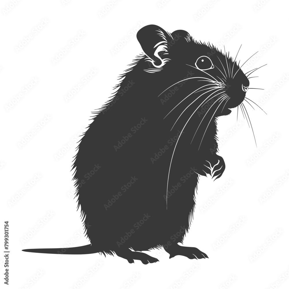 Silhouette hamster animal black color only full body Silhouette hamster animal black color only full body