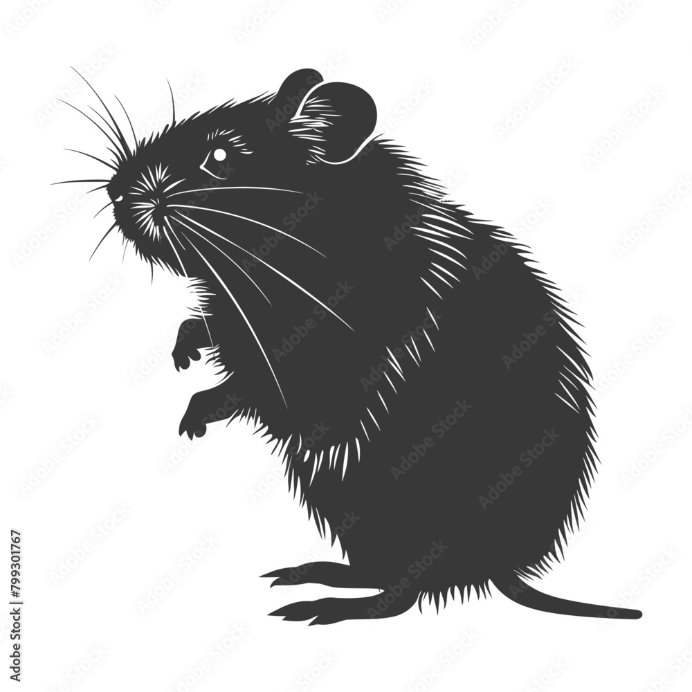 Silhouette hamster animal black color only full body Silhouette hamster animal black color only full body
