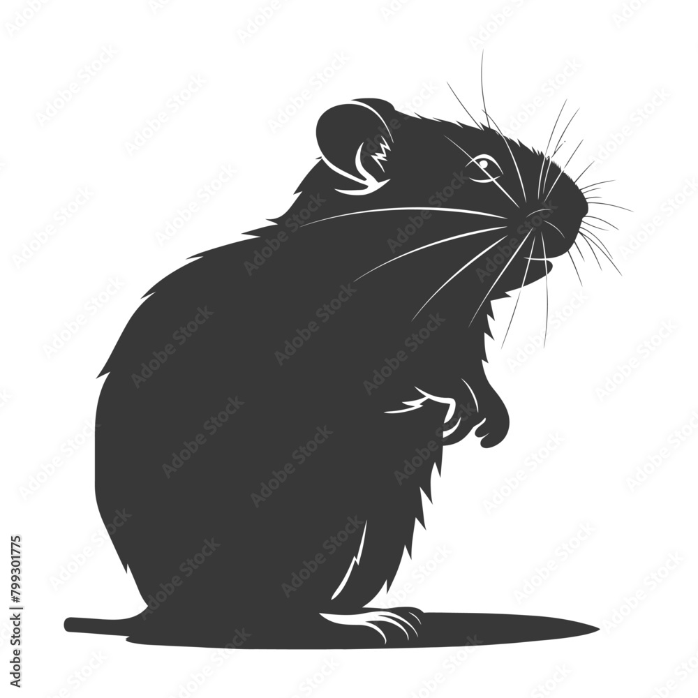 Silhouette hamster animal black color only full body Silhouette hamster animal black color only full body