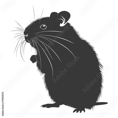 Silhouette hamster animal black color only full body
