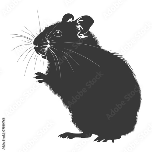 Silhouette hamster animal black color only full body