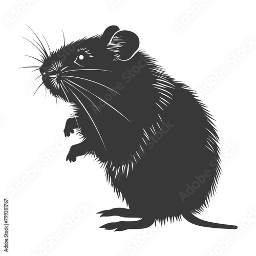 Silhouette hamster animal black color only full body
