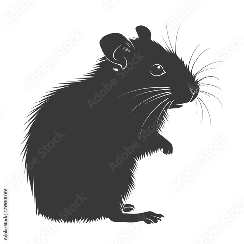 Silhouette hamster animal black color only full body