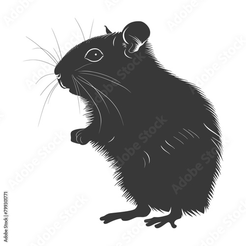 Silhouette hamster animal black color only full body © NikahGeh