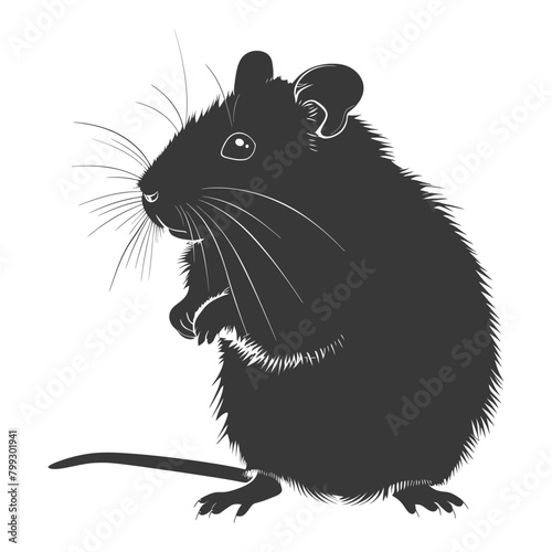 Silhouette hamster animal black color only full body