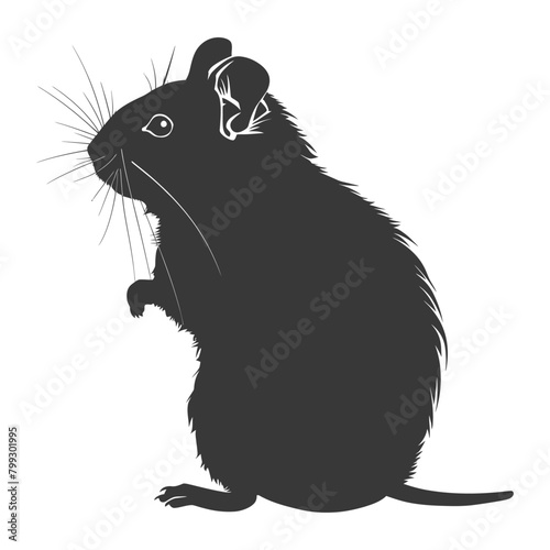 Silhouette hamster animal black color only full body