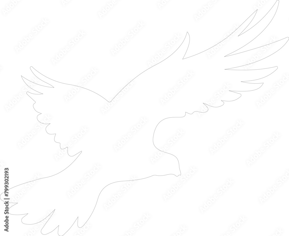 Naklejka premium dove outline