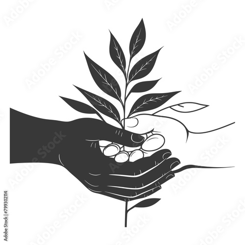 Silhouette Joining Hands holding in Harmony and Peace Between Races