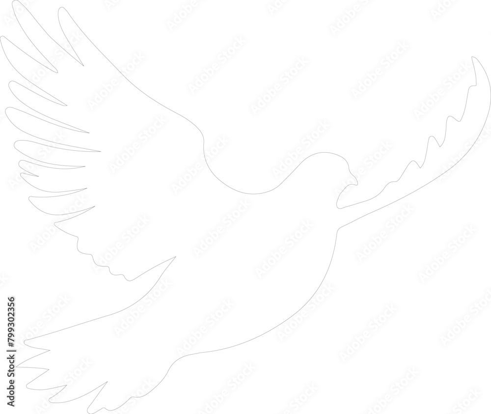 dove outline dove outline