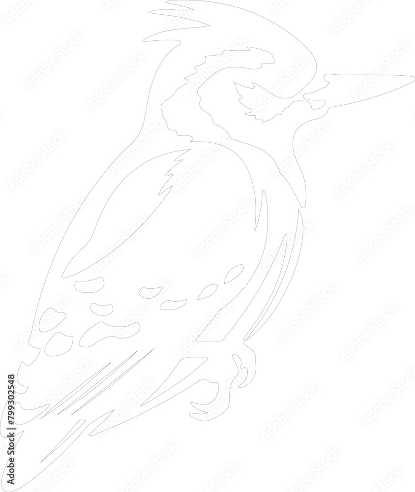 Naklejka premium downy woodpecker outline