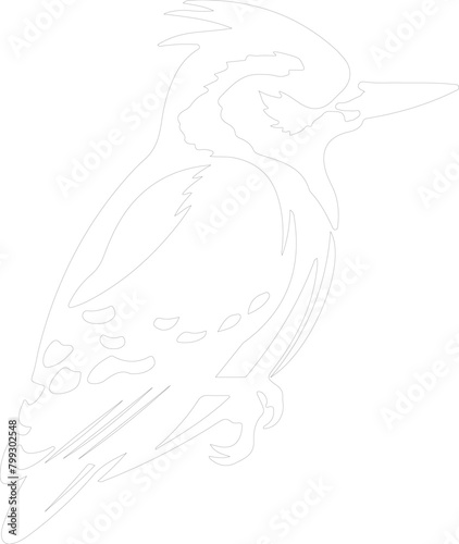 downy woodpecker outline photo
