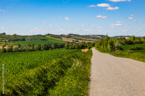 Collines du Lauragais au printemps depuis Nailloux, couvertes de champs de blé et de colza