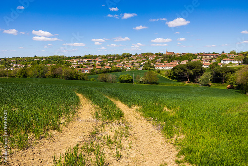Village de Nailloux sur sa colline avec son église de briques rouges depuis un champ de blé au printemps photo