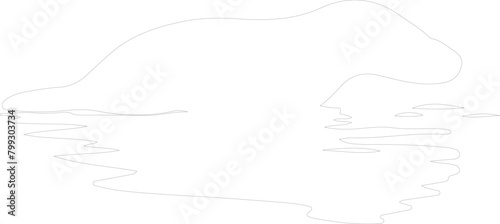duck-billed platypus outline