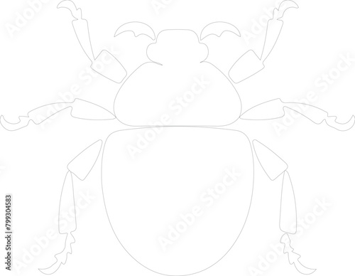 dung beetle outline