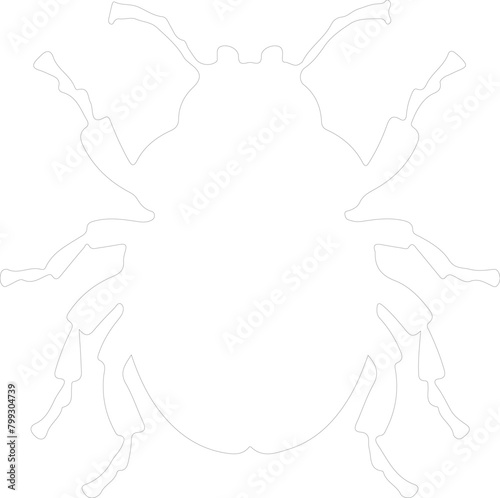 dung beetle outline