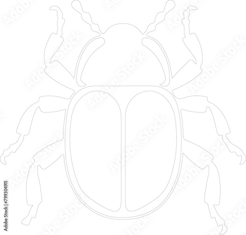 dung beetle outline