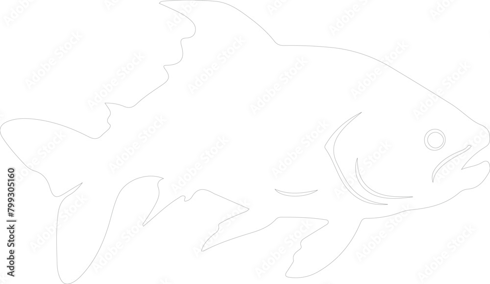 Dunkleosteus outline