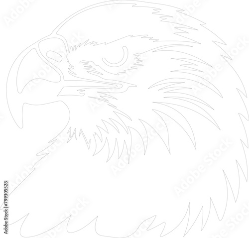 eagle outline