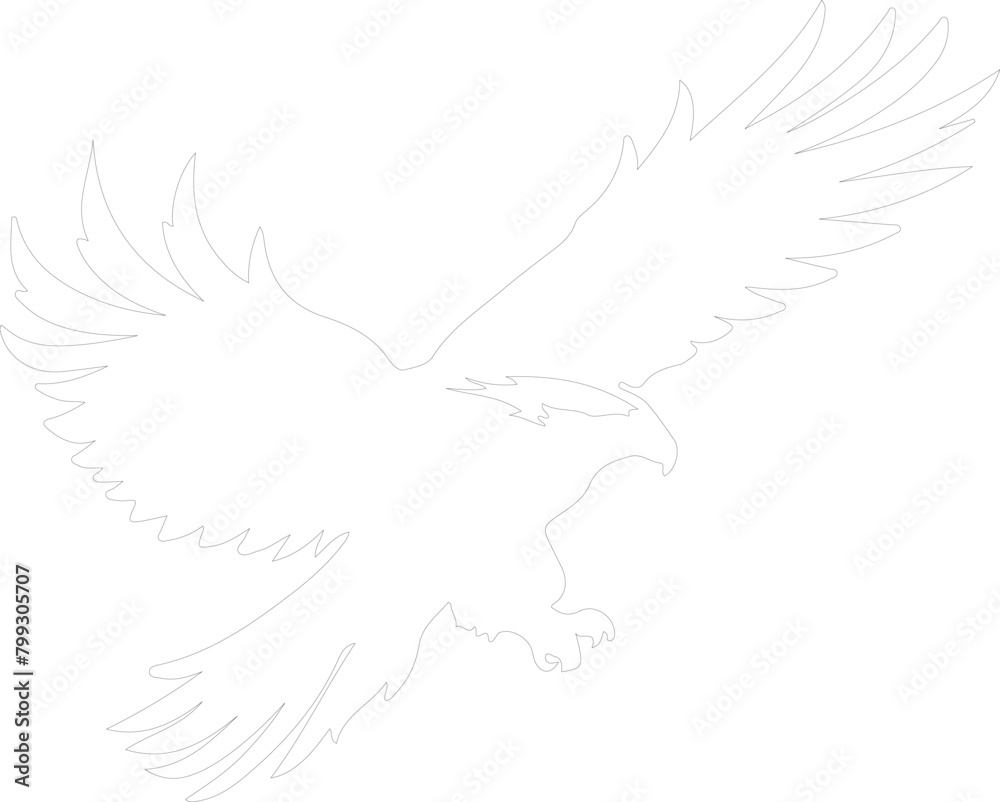 eagle outline