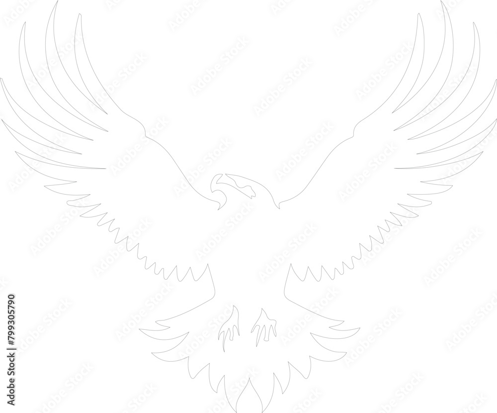 eagle outline eagle outline