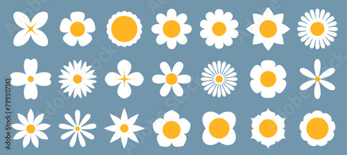A charming ensemble of daisy illustrations, each showcasing unique petal styles against a calming slate blue background, perfect for spring and nature themes.