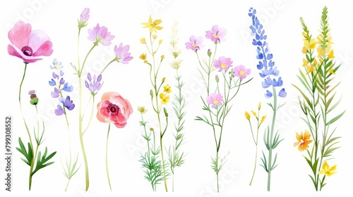 Summer Floral Set with Watercolor Wildflowers Generative AI