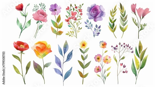 Watercolor Floral Elements on White Background Generative AI