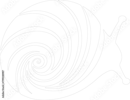 gastropod outline photo